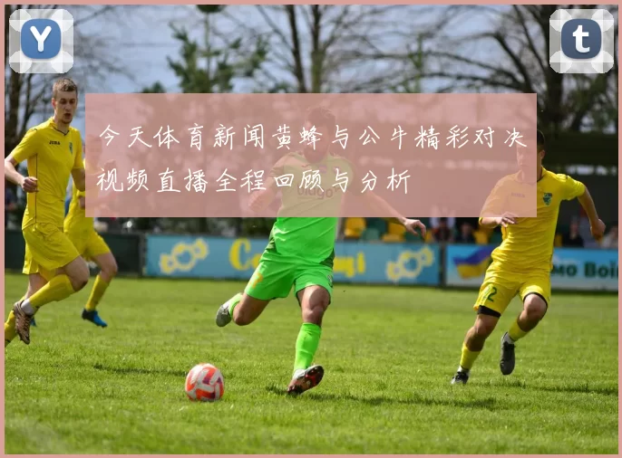 今天体育新闻黄蜂与公牛精彩对决视频直播全程回顾与分析