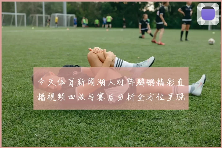 今天体育新闻湖人对阵鹈鹕精彩直播视频回放与赛后分析全方位呈现