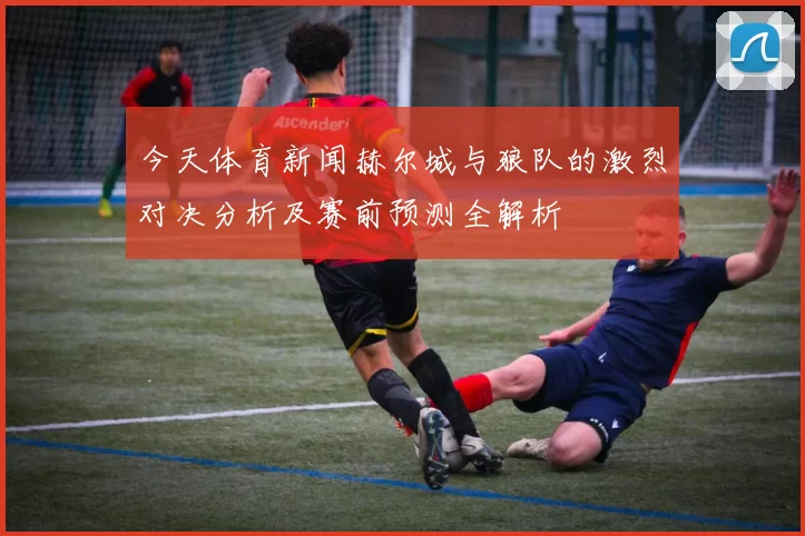 今天体育新闻赫尔城与狼队的激烈对决分析及赛前预测全解析